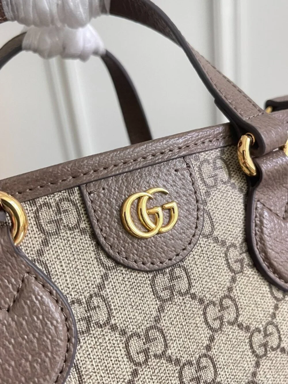 Gucci. dimensions 22